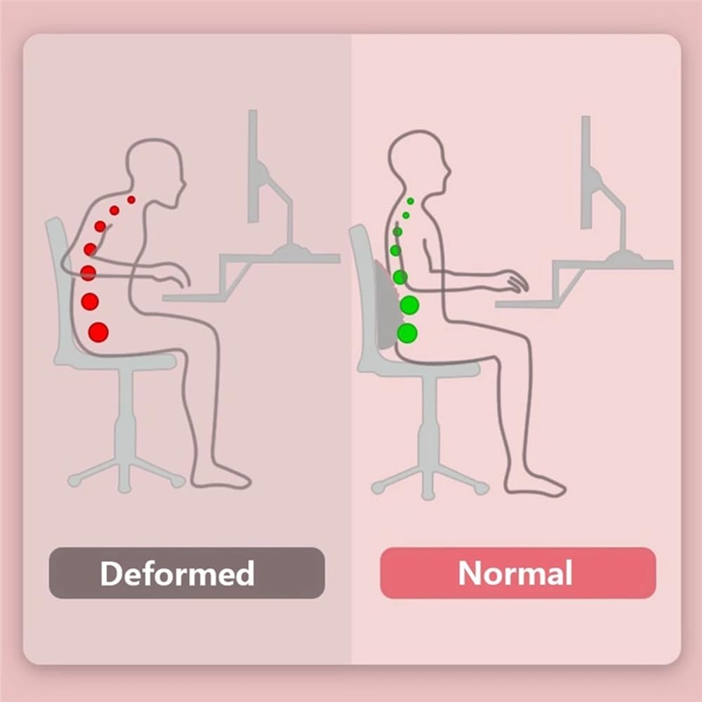 وسادة تدريب اليوغا لدعم الظهر  - مراجعة Health Wellness And Fitness وسعره