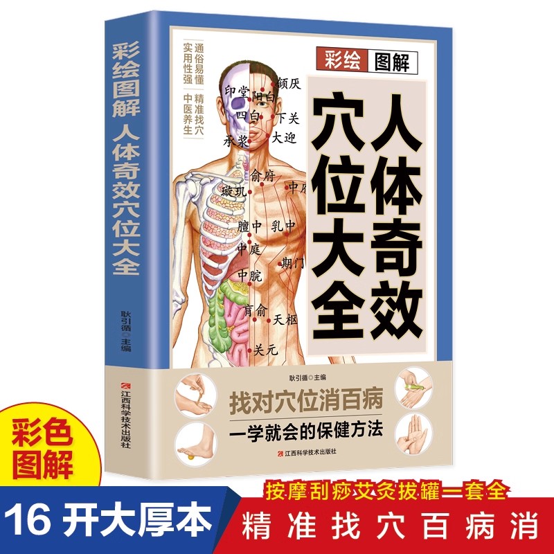 دليل تدليك نقاط الضغط والحفاظ  - مراجعة Health & Wellness Programs وسعره
